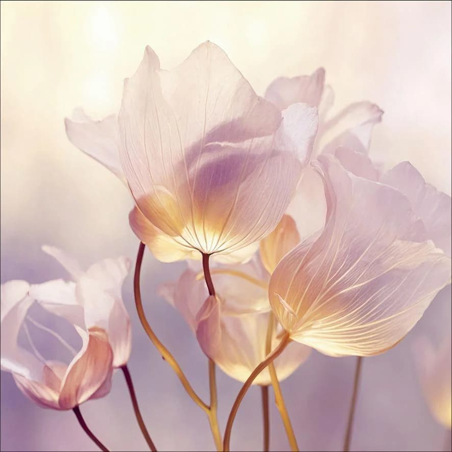 Aludibondbild FLOWERS IX Mehrfarbig Druck auf Aluminiumplatte