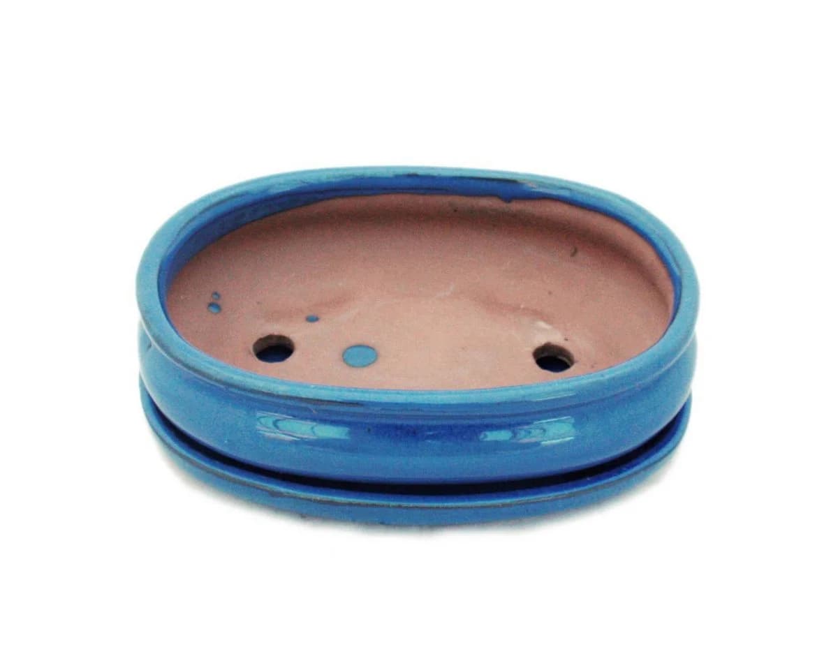 Exotenherz Bonsai-Schale Blau oval