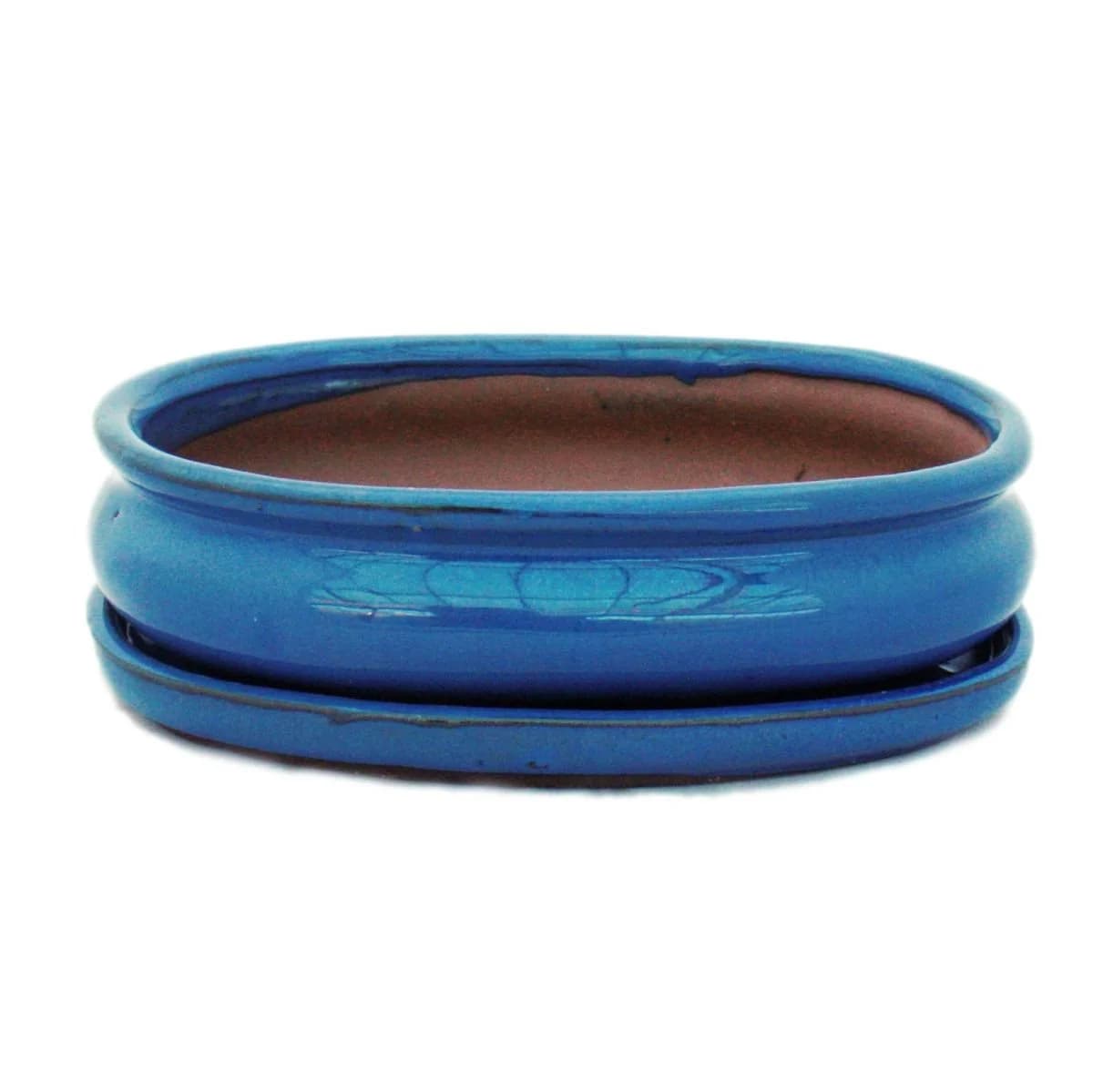 Exotenherz Bonsai-Schale Blau oval - Bild 2