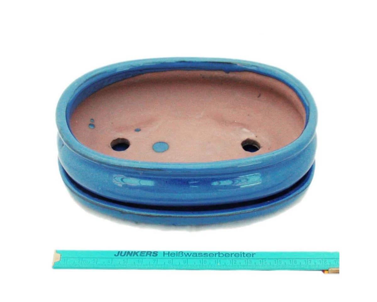 Exotenherz Bonsai-Schale Blau oval - Bild 3
