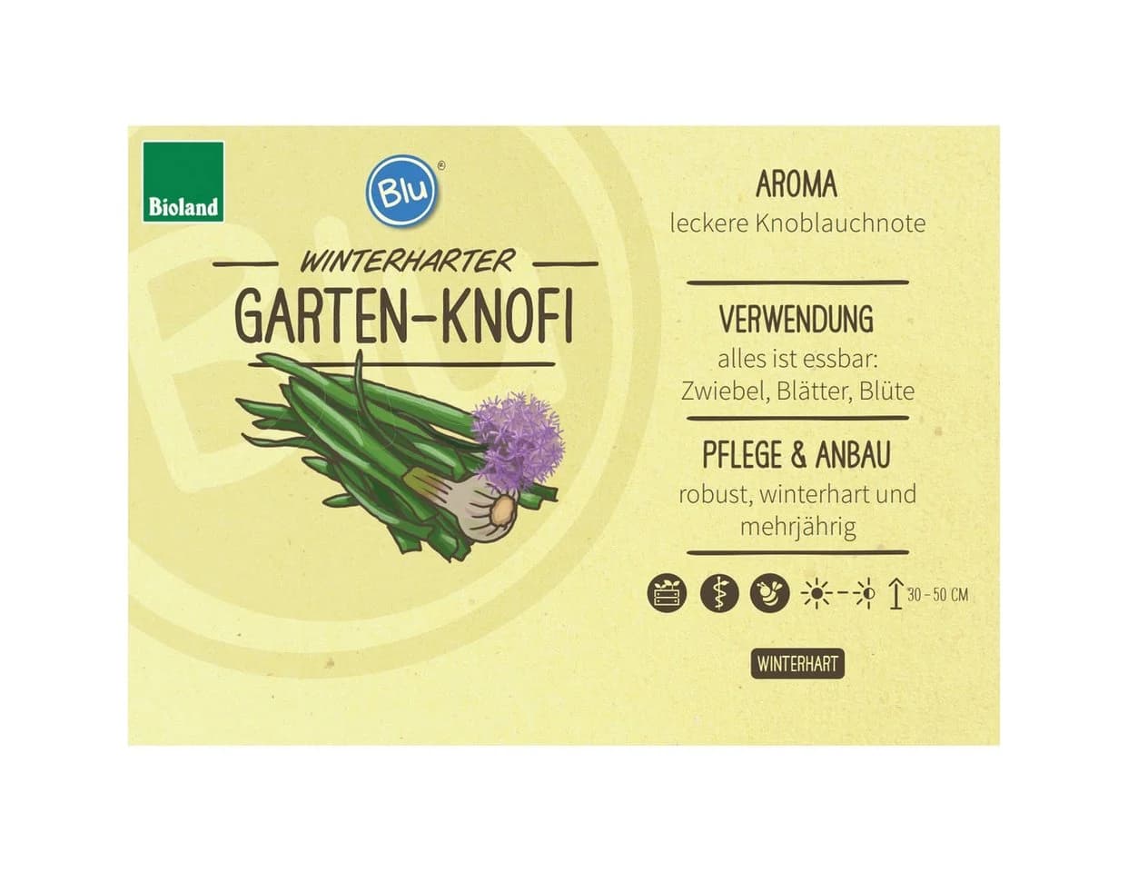 Exotenherz Gartenknofi BIO Kräuterpflanze im 12cm Topf