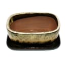 Exotenherz Bonsai-Schale Rechteckig Braun-Beige Keramik Bild 1