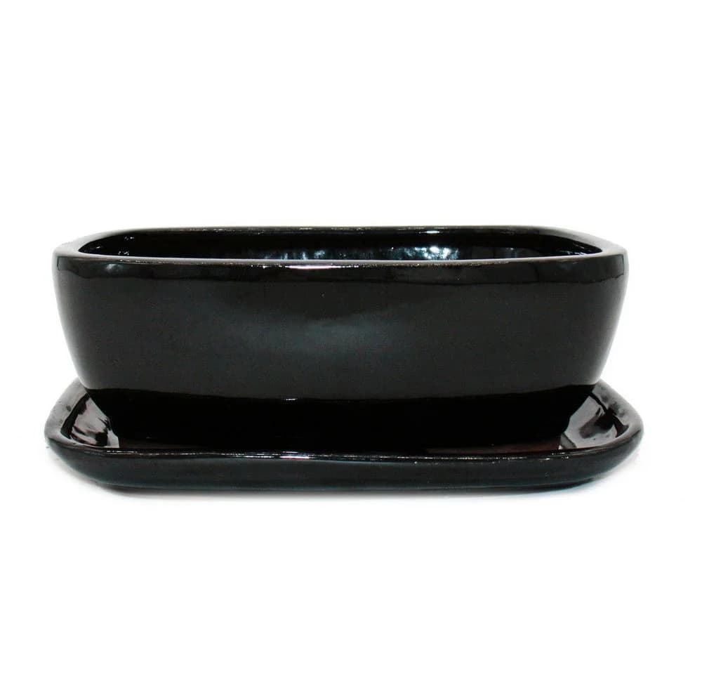 Exotenherz Bonsai-Schale Unterteller Schwarz Anthrazit Yixing - Bild 2