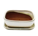 Exotenherz Bonsai-Schale Hellbeige Unterteller 26cm Bild 1