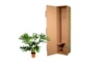 Exotenherz Philodendron Selloum Baumfreund ca. 100cm Topf 24cm Bild 1