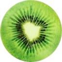 Platzset STUCO Summer Fruits Kiwi 6-tlg. Grün Polypropylen Rund Bild 2
