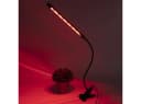 Casativo LED-Pflanzenlampe 360°-Schwanenhals 20 LEDs Schwarz Bild 5