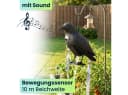shop'n smile ideoon Vogel-Schreck Rabe Schwarz mit Bewegungssensor & Sound Bild 1