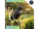 shop'n smile ideoon Vogel-Schreck Rabe Schwarz mit Bewegungssensor & Sound Bild 3