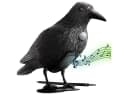 shop'n smile ideoon Vogel-Schreck Rabe Schwarz mit Bewegungssensor & Sound Bild 4