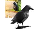 shop'n smile ideoon Vogel-Schreck Rabe Schwarz mit Bewegungssensor & Sound Bild 5