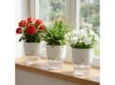 shop'n smile ideoon Selbstbewässernder Blumentopf mit Docht-System Bild 2