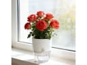 shop'n smile ideoon Selbstbewässernder Blumentopf mit Docht-System Bild 3
