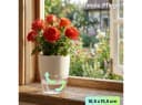 shop'n smile ideoon Selbstbewässernder Blumentopf mit Docht-System Bild 4