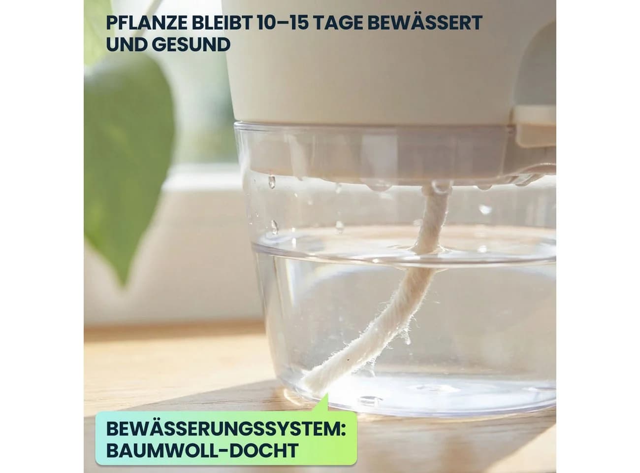 shop'n smile ideoon Selbstbewässernder Blumentopf mit Docht-System - Bild 5