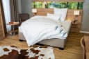 BECO Royal Soft GOLD Microfaserkissen 80x80 cm Weiß Bild 5