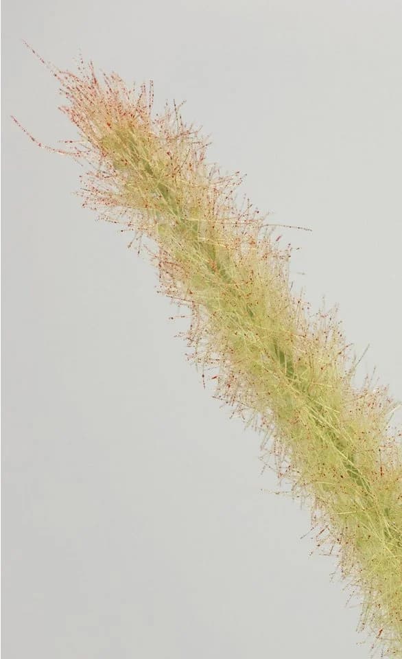 I.GE.A. Kunstpflanze Fuchsschwanzgras Grün mit Übertopf - Bild 4