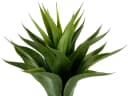 I.GE.A. Kunstpflanze Agave im Topf Grün Schwarz Bild 1
