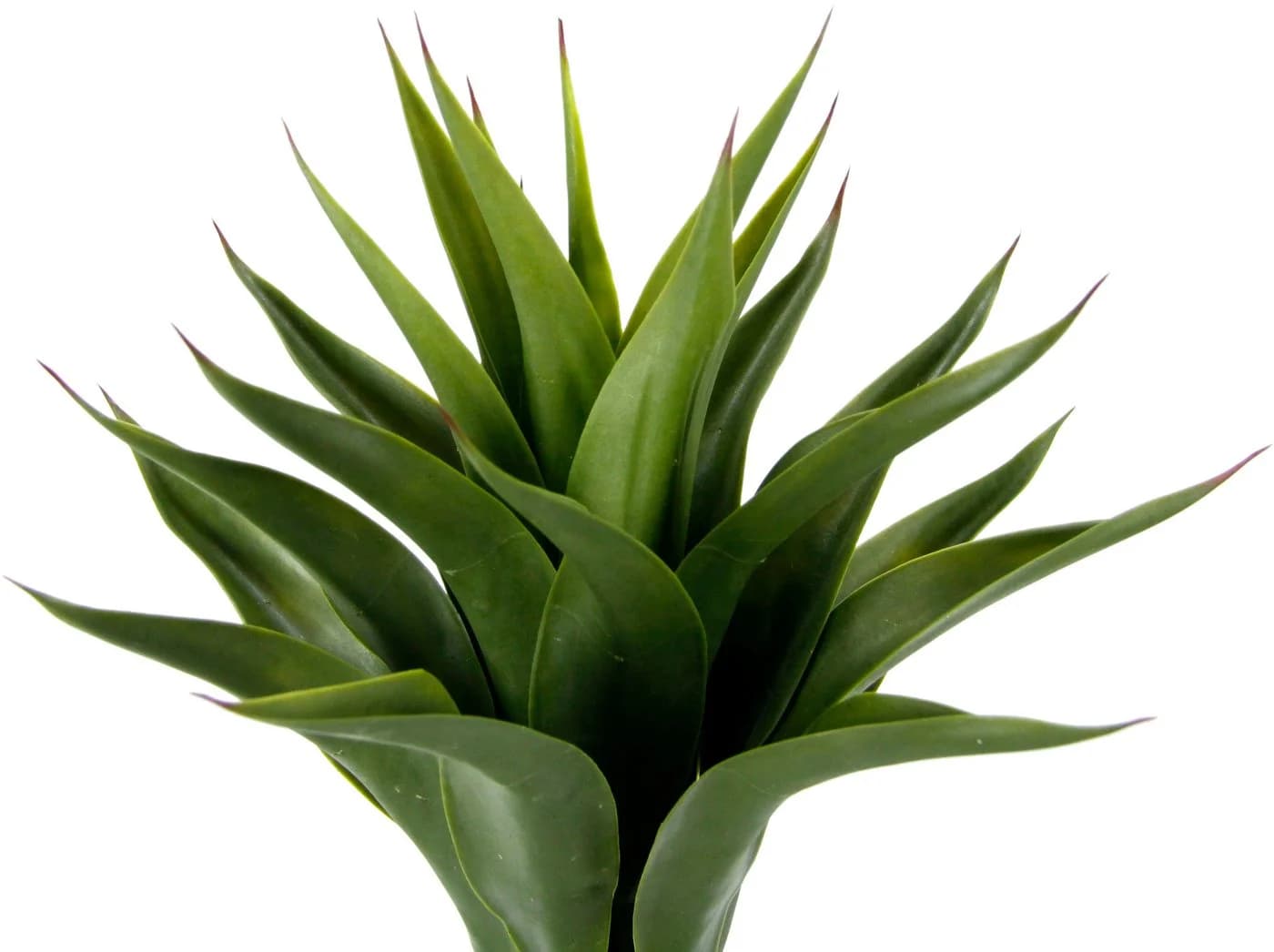 I.GE.A. Kunstpflanze Agave im Topf Grün Schwarz - Bild 1
