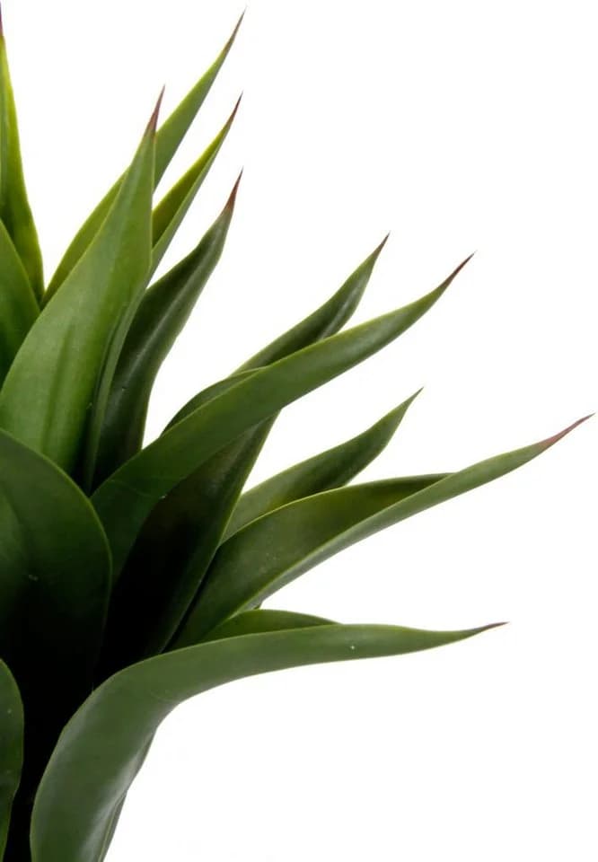 I.GE.A. Kunstpflanze Agave im Topf Grün Schwarz - Bild 3