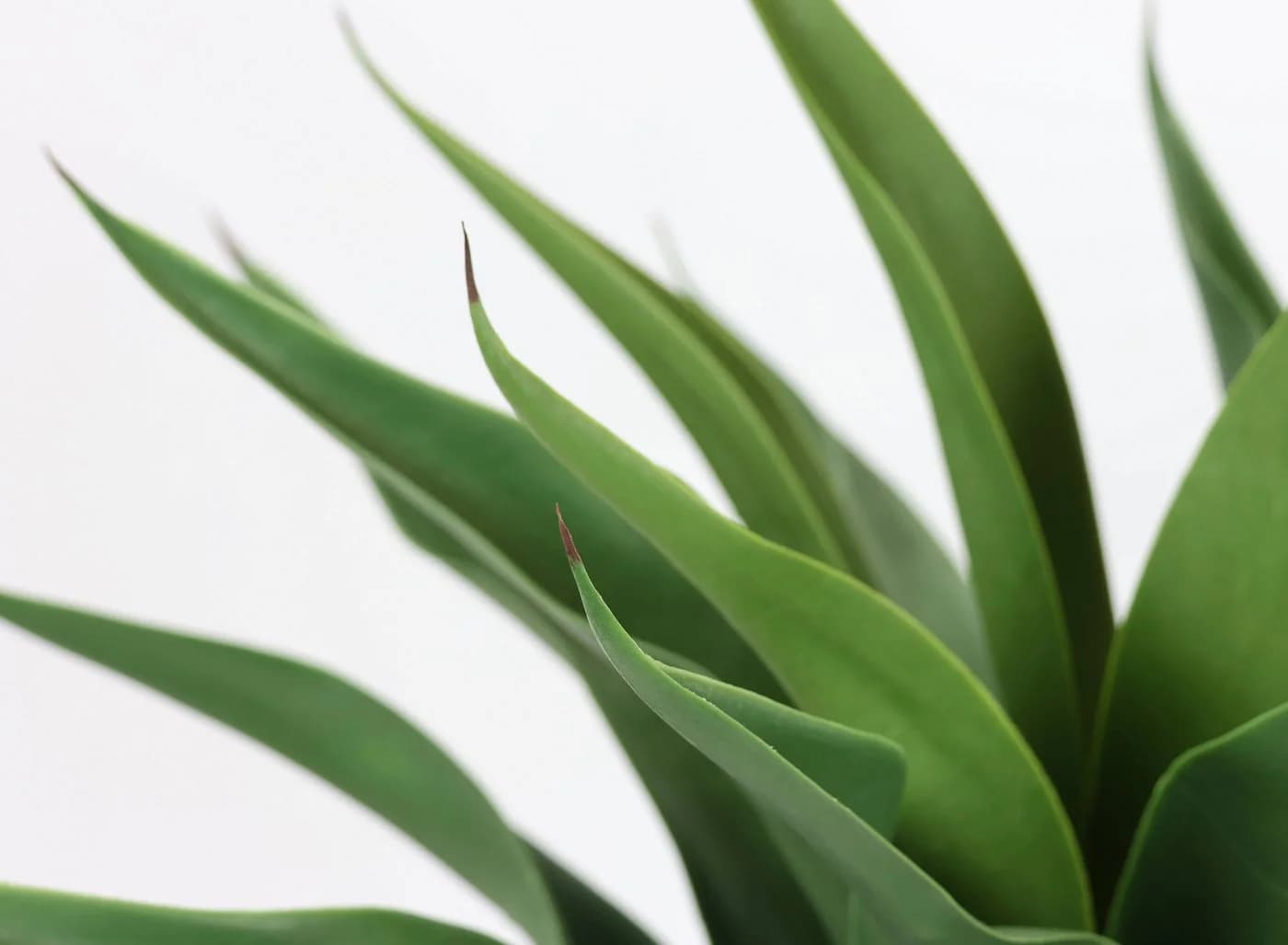 I.GE.A. Kunstpflanze Agave im Topf Grün Schwarz - Bild 4