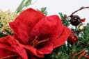 Kunstpflanze Tannenleger I.GE.A. 10 cm Amaryllis Zapfen Beeren Kunststoff Weihnachtsdeko Bild 3