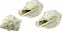 I.GE.A. Keramik-Muschel Dekoobjekt 3er-Set Beige Natur Bild 5