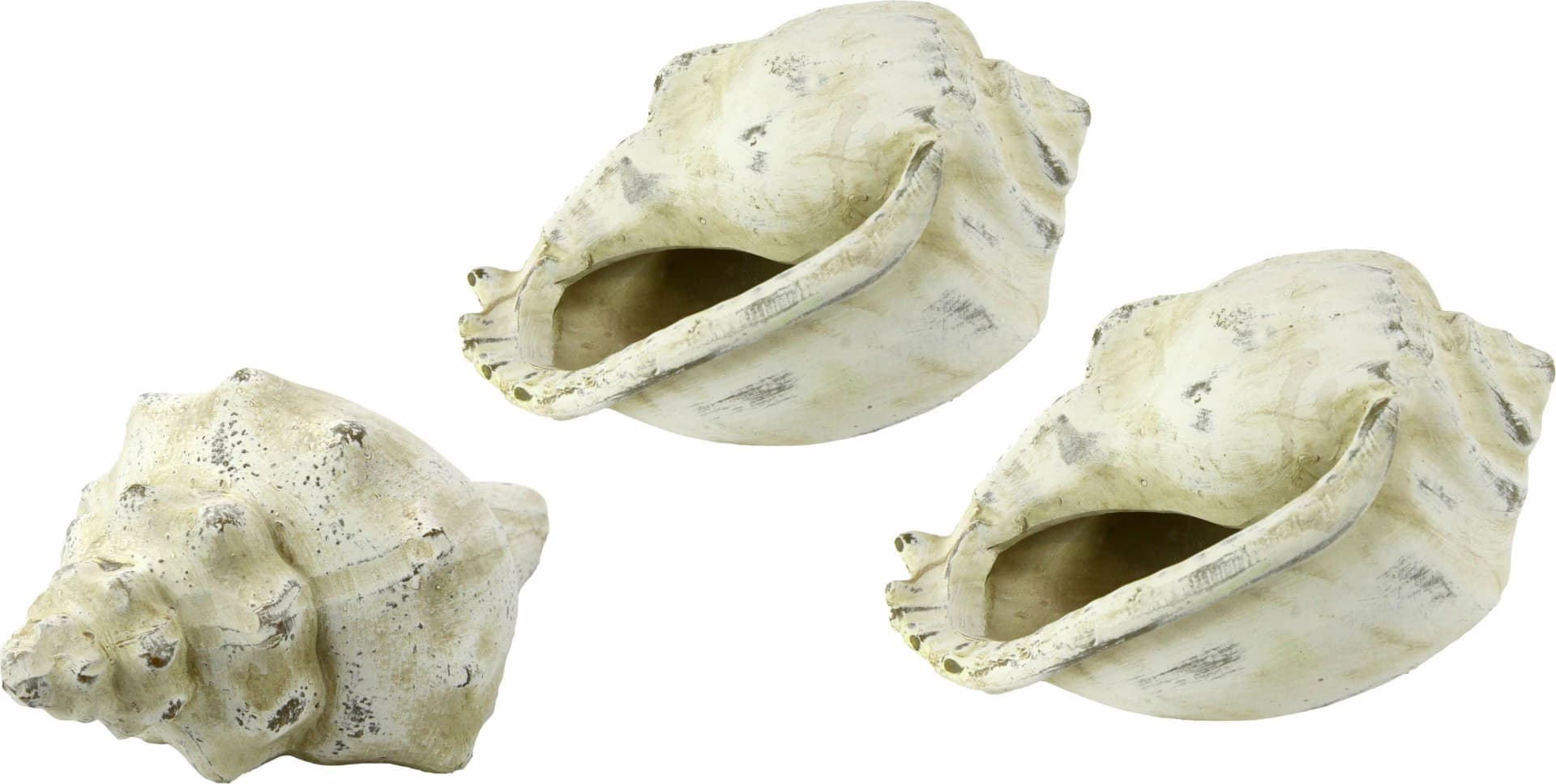 I.GE.A. Keramik-Muschel Dekoobjekt 3er-Set Beige Natur - Bild 5