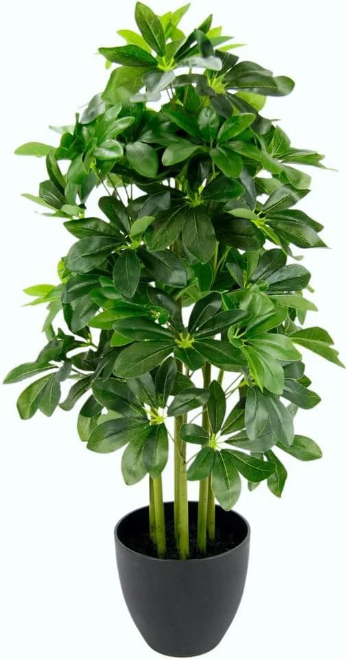 Kunstpflanze Schefflera I.GE.A. 83 cm Kunststofftopf