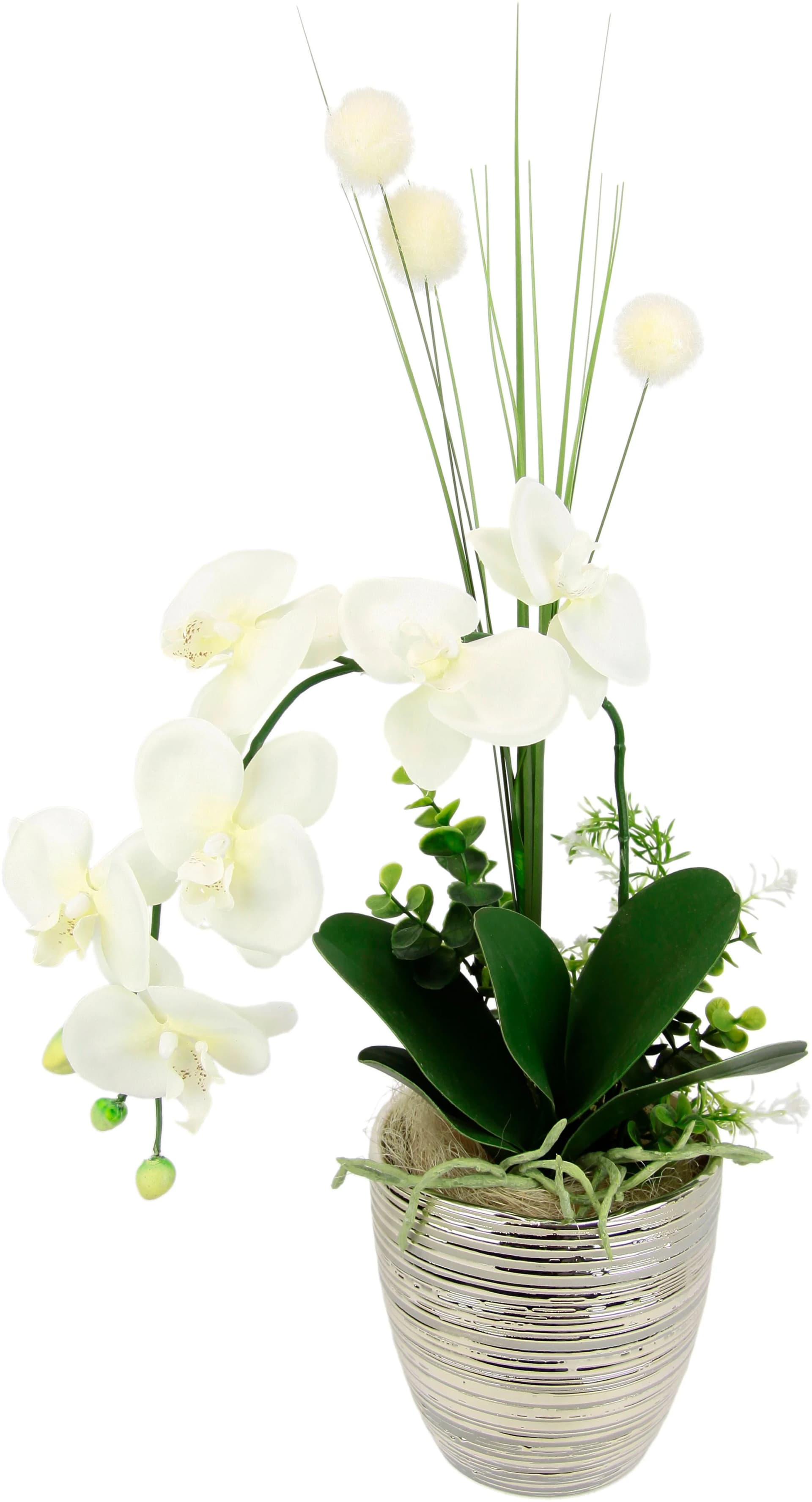 Baur Versand Kunstblume Orchidee Beige Keramiktopf