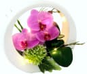 I.GE.A. Kunstorchidee Rosa mit LED-Beleuchtung in Keramikvase Bild 1