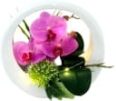 I.GE.A. Kunstorchidee Rosa mit LED-Beleuchtung in Keramikvase Bild 2