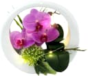 I.GE.A. Kunstorchidee Rosa mit LED-Beleuchtung in Keramikvase Bild 3