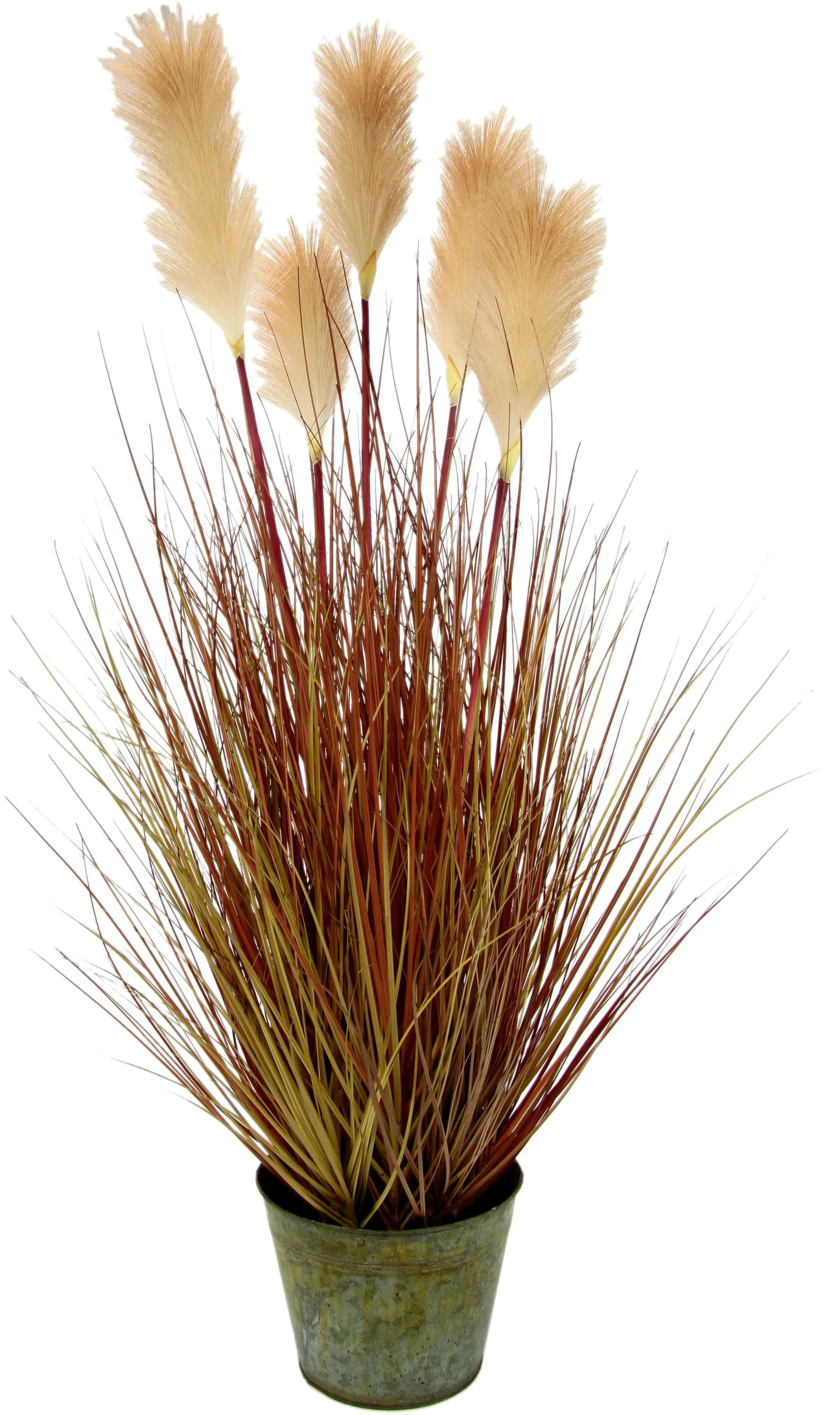 Kunstpflanze I.GE.A. Pampasgras Beige Polyester