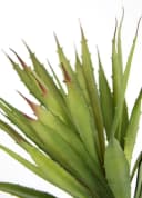 Kunstpflanze Künstliche Agave Aloe Vera im Topf Kunstpflanze, I.GE.A., Höhe 38 cm, Kaktus Kakteen Bild 1