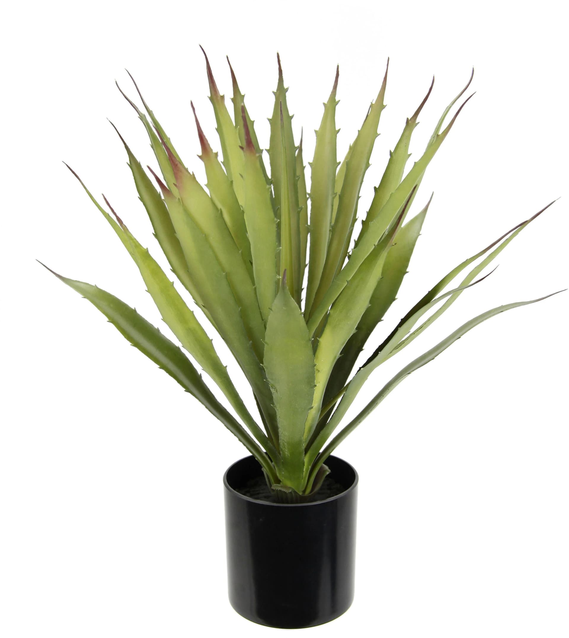 Kunstpflanze Künstliche Agave Aloe Vera im Topf Kunstpflanze, I.GE.A., Höhe 38 cm, Kaktus Kakteen - Bild 4