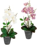 I.GE.A. Kunstorchidee Phalaenopsis 2er Set Creme/Rosa Keramiktopf Bild 1