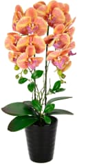 Kunstblume Orchidee Phalaenopsis mit Übertopf Hochzeit Bild 4