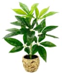 Kunstpflanze Schefflera, I.GE.A., 48 cm, Übertopf Grün Bild 2