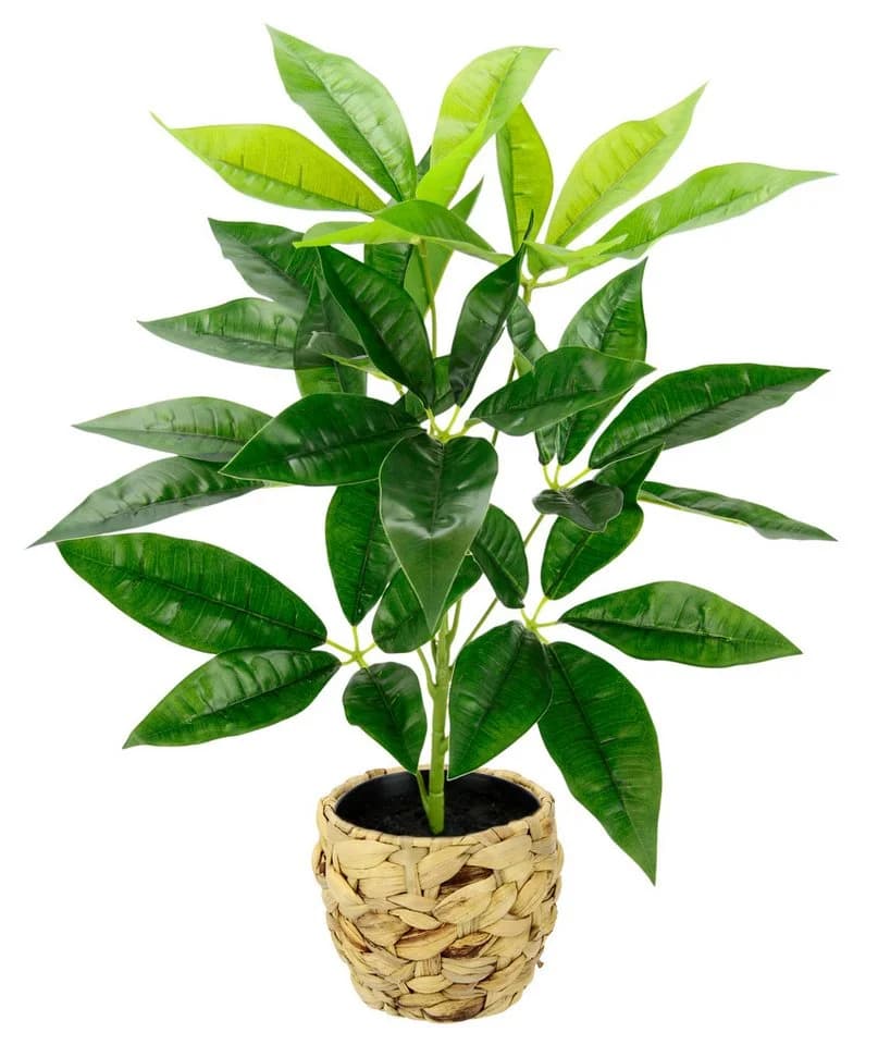 Kunstpflanze Schefflera, I.GE.A., 48 cm, Übertopf Grün - Bild 2