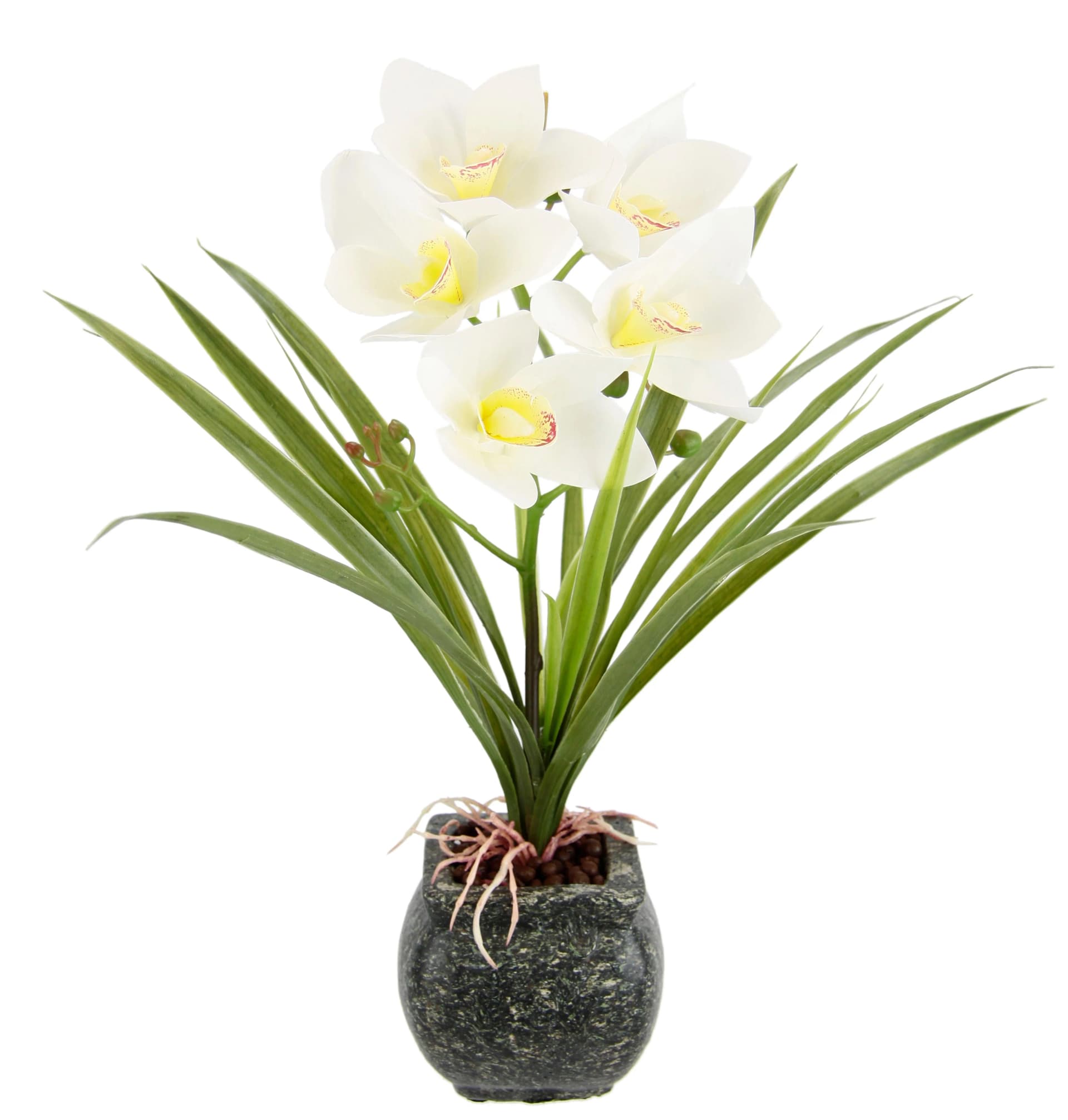 Kunstblume OTTO HOME Orchidee Beige Zementtopf