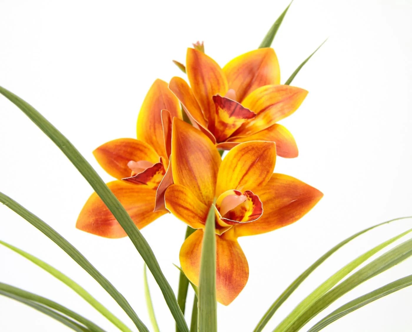 I.GE.A. Kunstorchidee Orange mit Keramiktopf