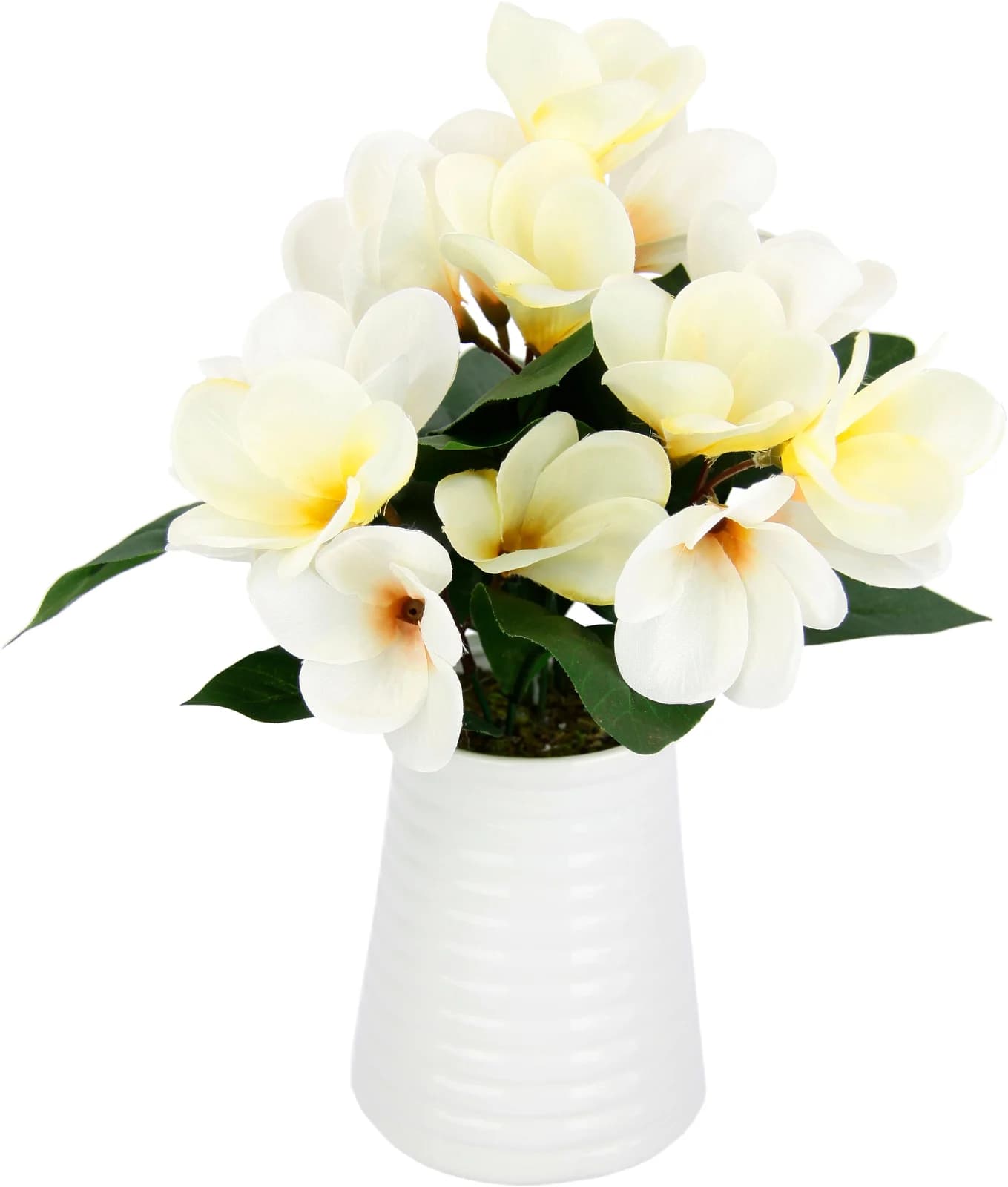I.GE.A. Kunstblume Frangipani in Keramikvase Beige/Creme