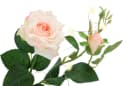 I.GE.A. Kunstblumenarrangement Rosen Rosa in Keramikvase Bild 3