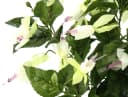 I.GE.A. Kunstblume Fuchsie Rosa/Weiß Hängend Bild 1