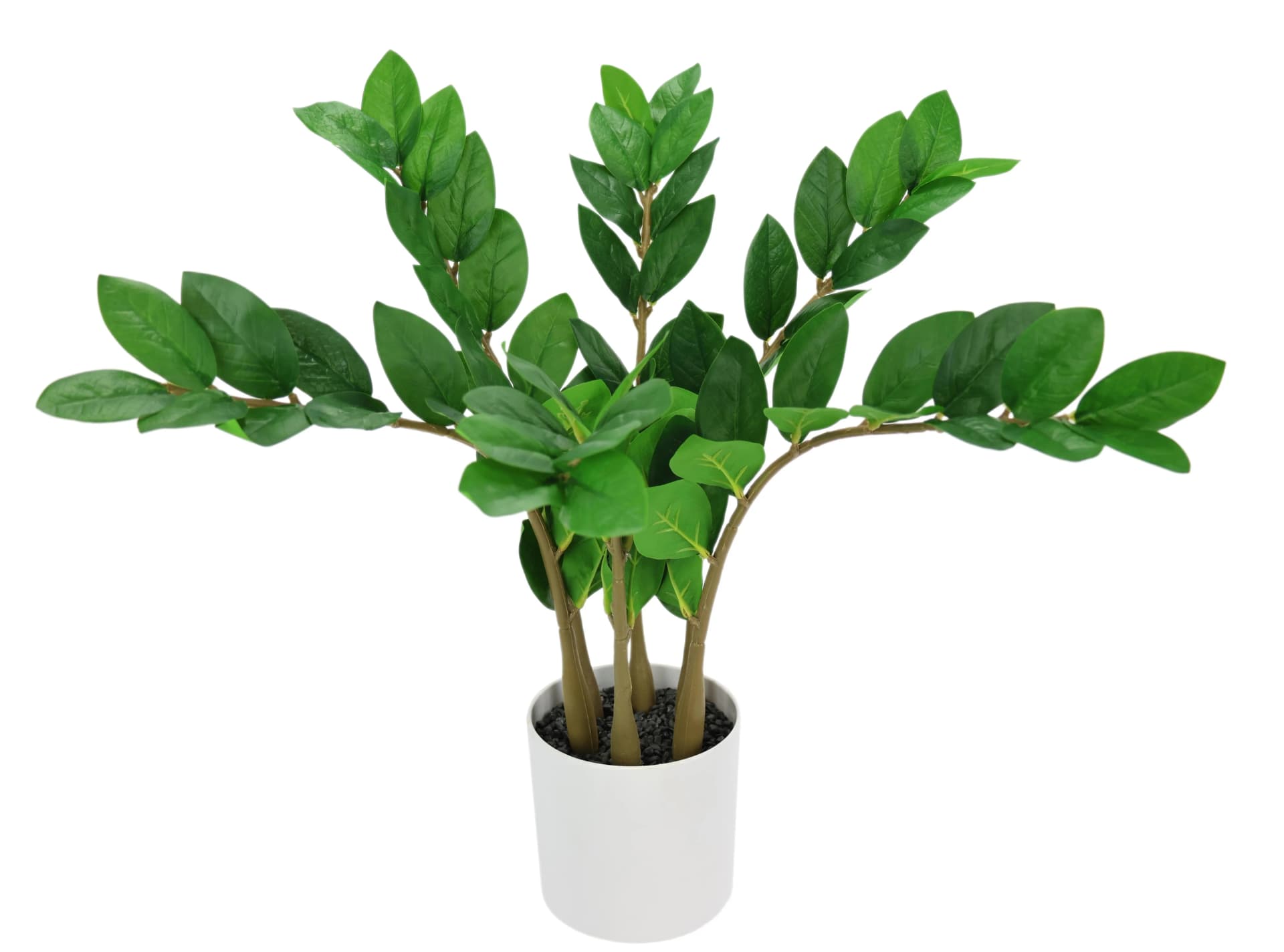 I.GE.A. Kunstblume Zamioculcas im Topf Grün Polyester