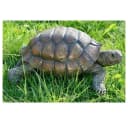 BOLTZE GRUPPE GmbH Schildkröte Dekofigur Kunstharz Anthrazit-Braun-Grau Bild 1
