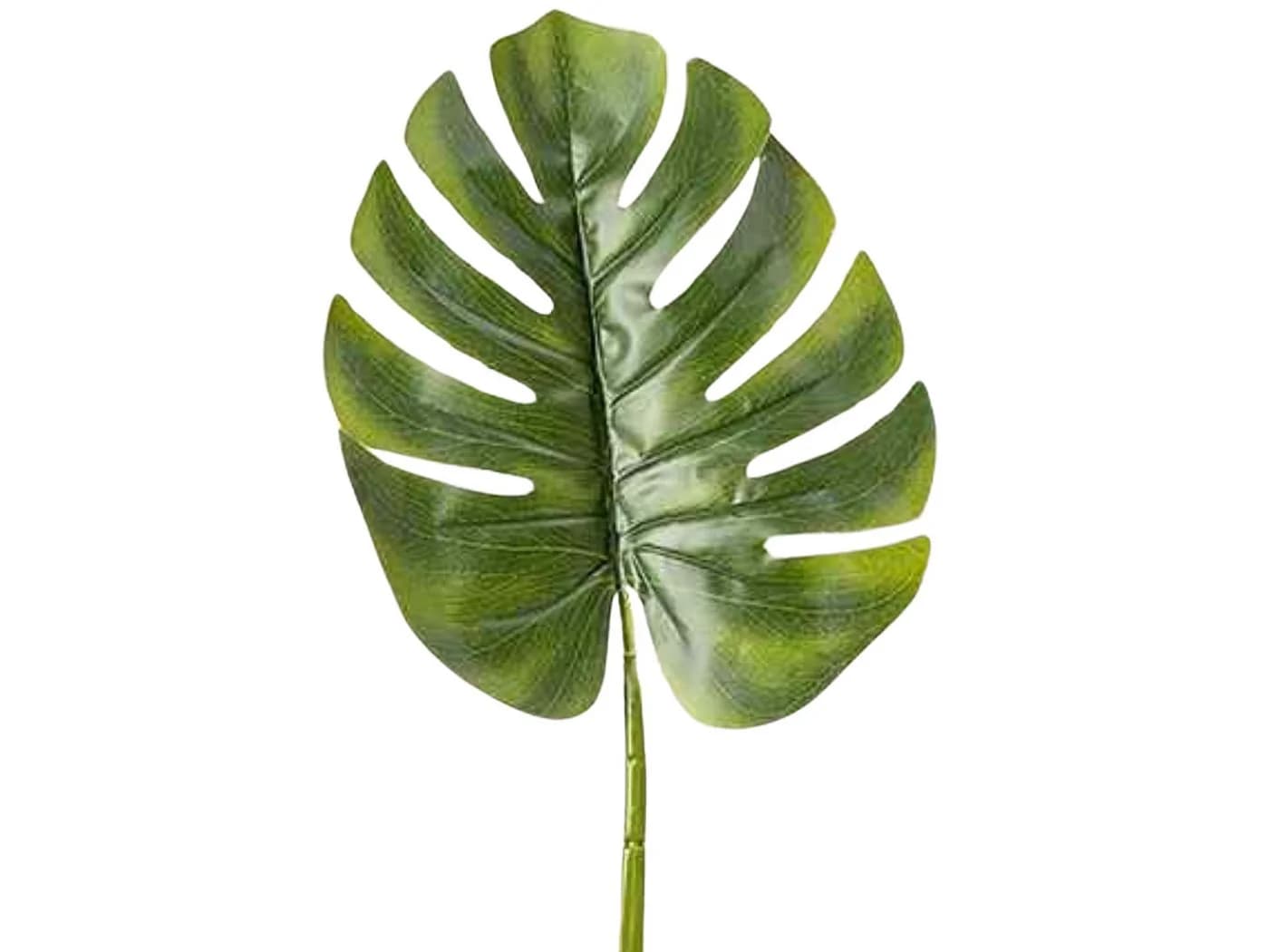 BOLTZE Kunstpflanze Blatt grün 75 cm