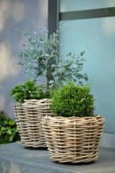 jankurtz Blumenkasten Palau Naturrattan Ø 57 cm mit Innentopf Bild 1