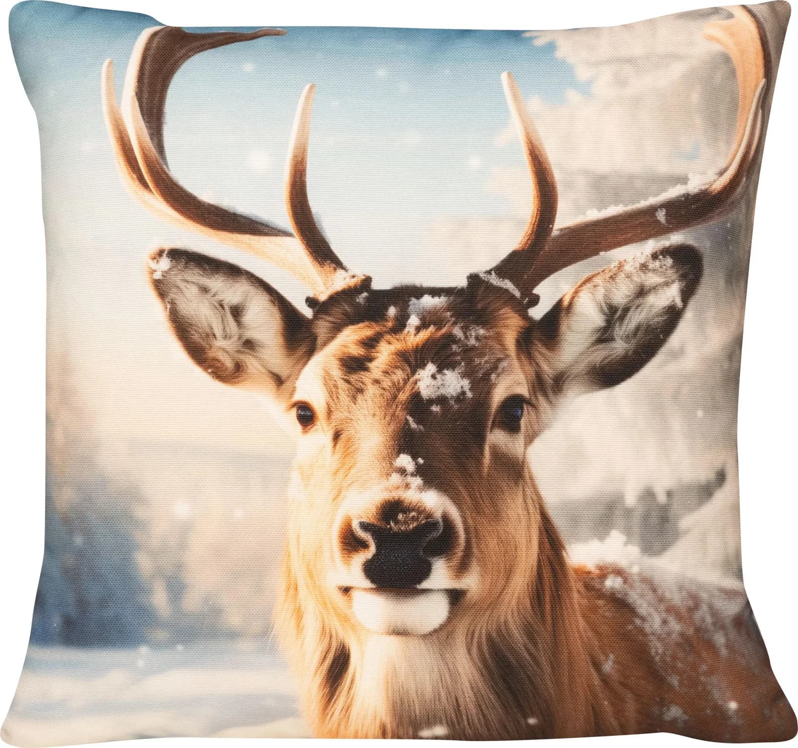 Kissenhülle SWEET SQUIRREL Braun Mandarine Baumwolle Polyester